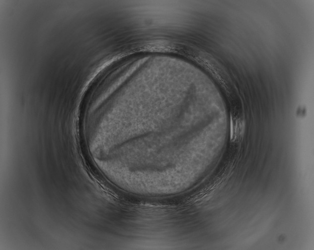 X0000098070531200804251440