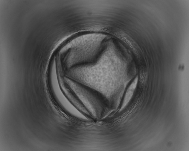 X0000098070532200804251440