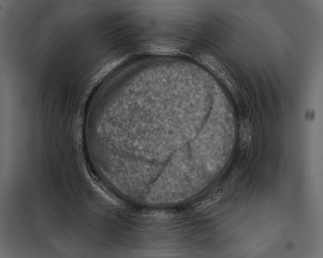 X0000098070533200804251440