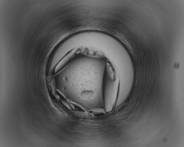 X0000098070534200804251440