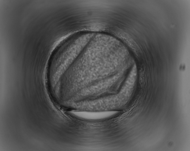 X0000098070536200804251440