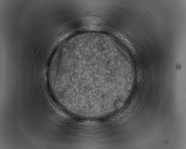 X0000098070537200804251440