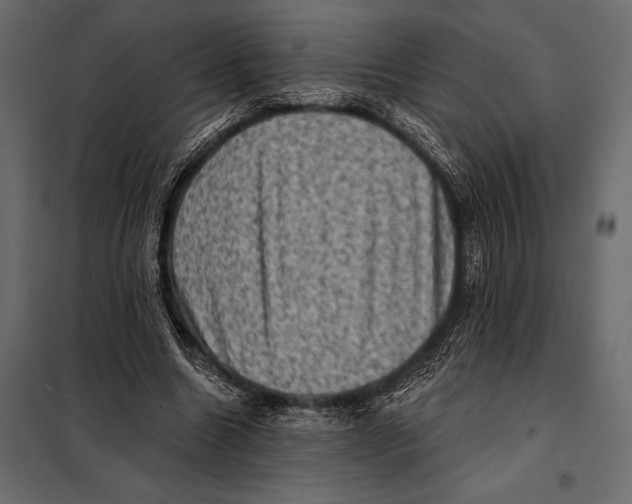 X0000098070538200804251440