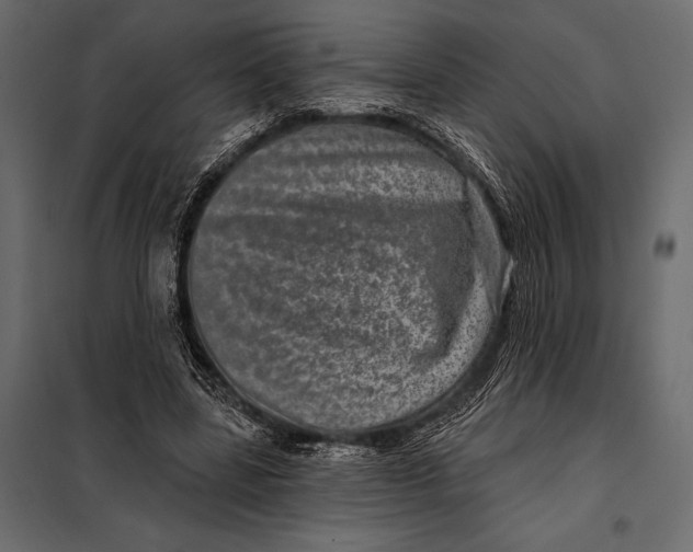 X0000098070539200804251440