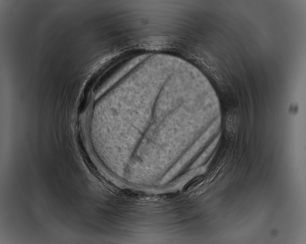 X0000098070540200804251440