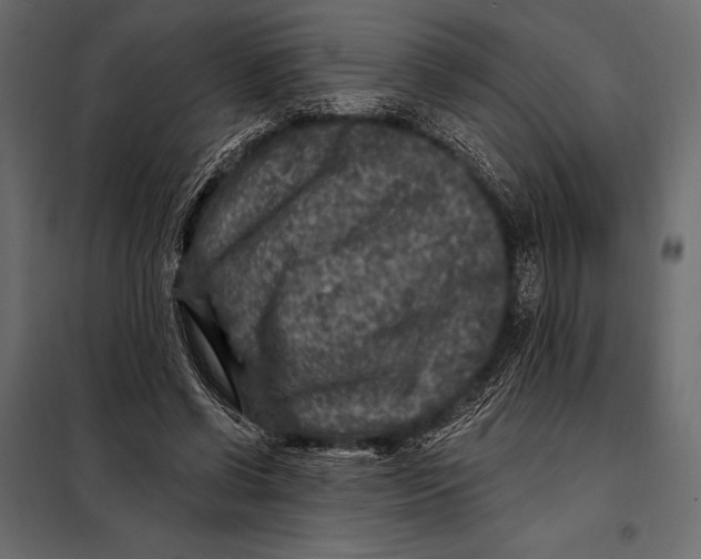 X0000098070542200804251440