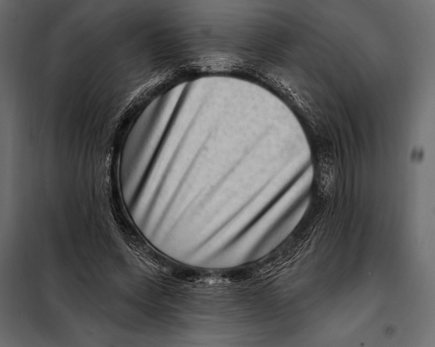 X0000098070543200804251440