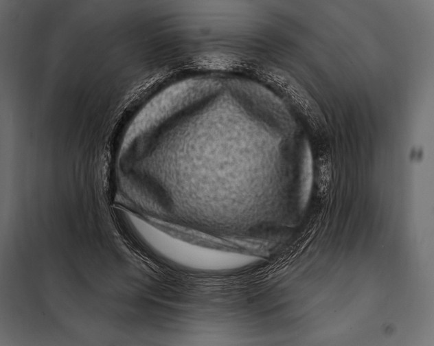 X0000098070544200804251440