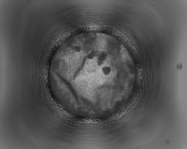 X0000098070545200804251440