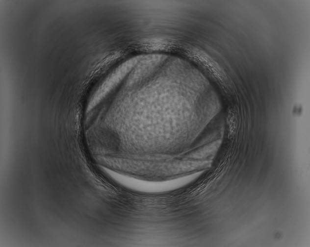 X0000098070546200804251440