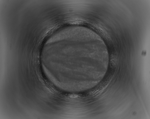 X0000098070547200804251441