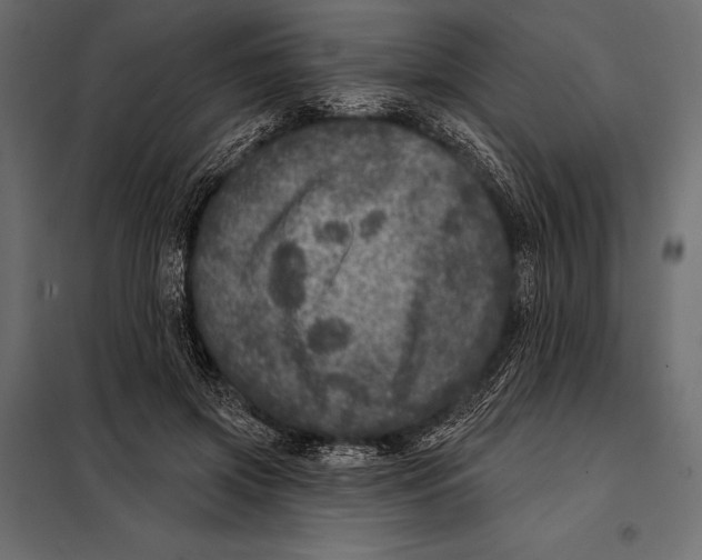 X0000098070549200804251441