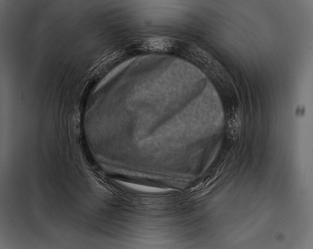 X0000098070552200804251441