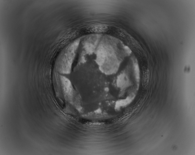 X0000098070553200804251441