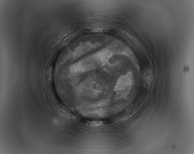 X0000098070554200804251441