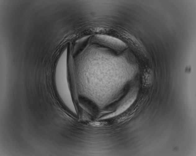 X0000098070558200804251441