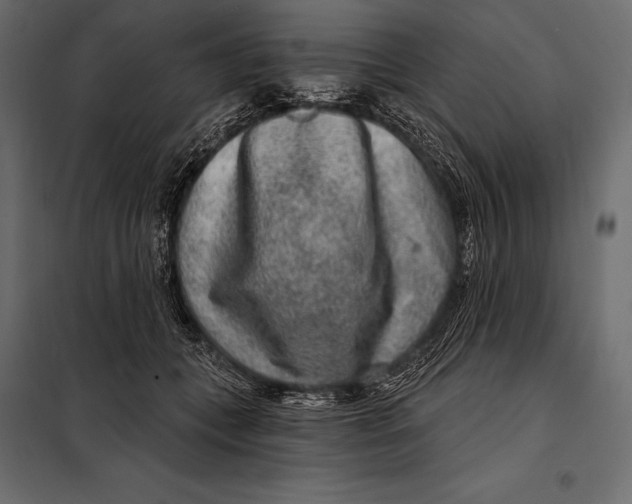 X0000098070559200804251441