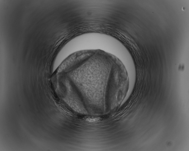 X0000098070560200804251441