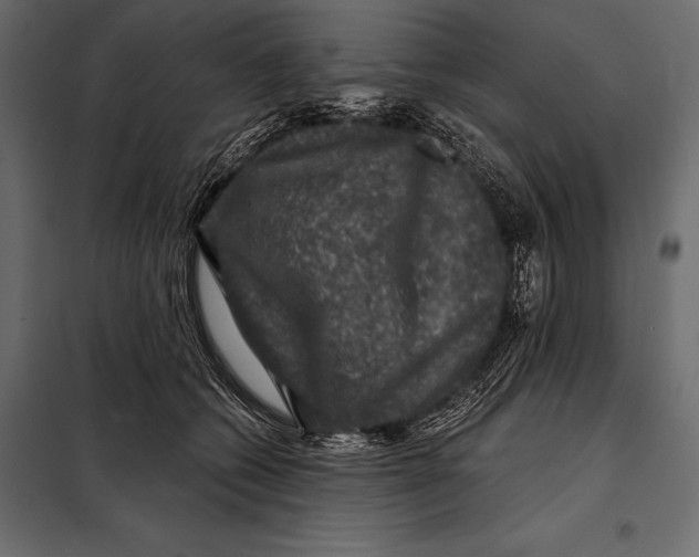 X0000098070562200804251441