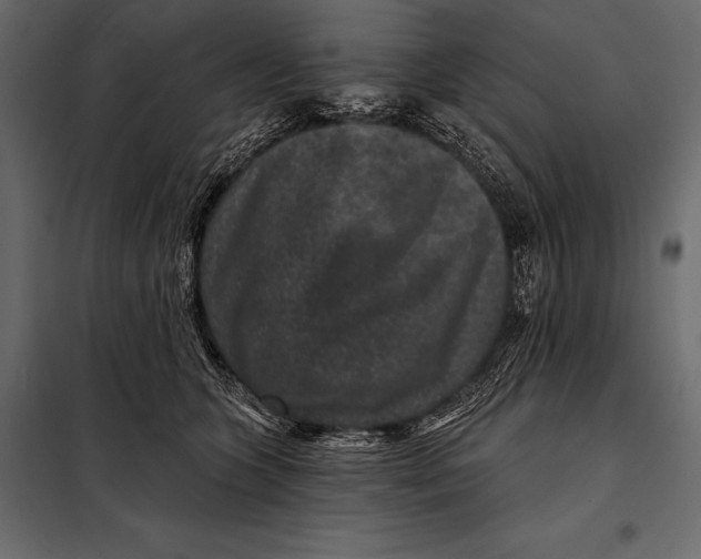 X0000098070563200804251441