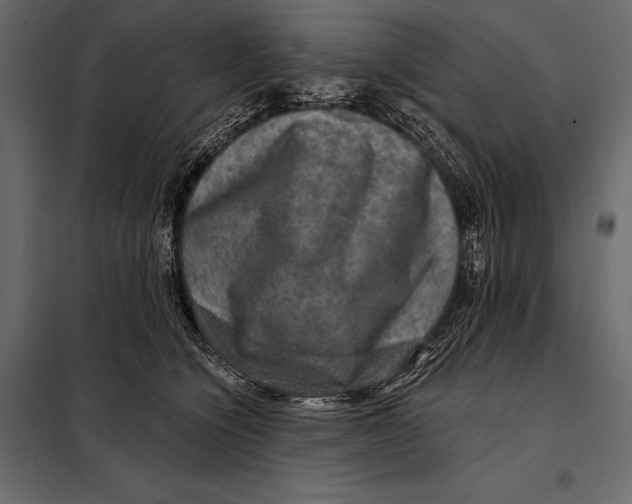 X0000098070564200804251441