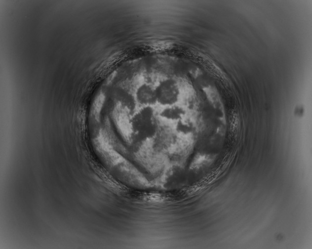 X0000098070565200804251441