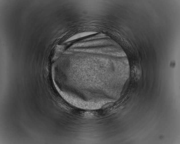 X0000098070566200804251441