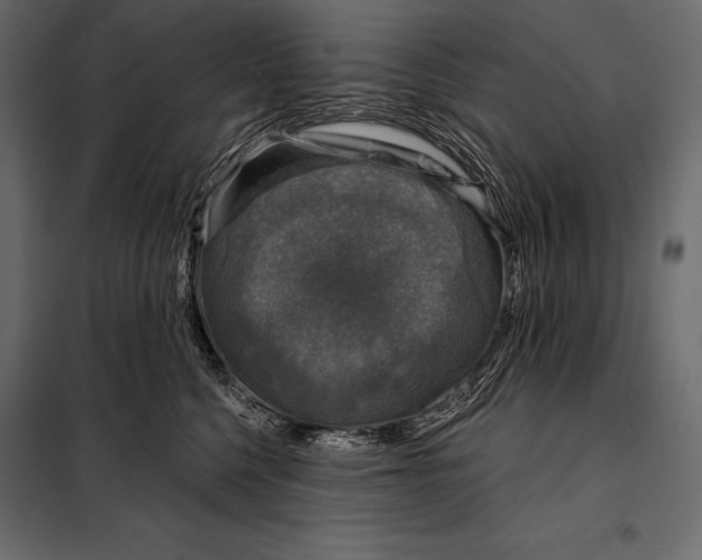 X0000098070568200804251441