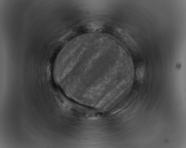 X0000098070570200804251441