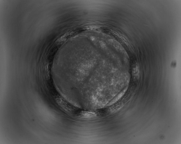 X0000098070572200804251441