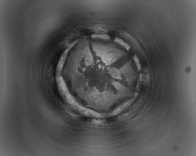 X0000098070573200804251441