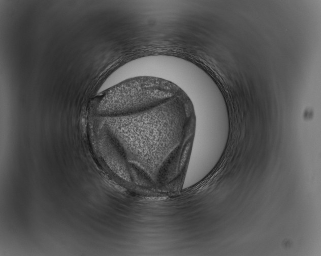 X0000098070576200804251441