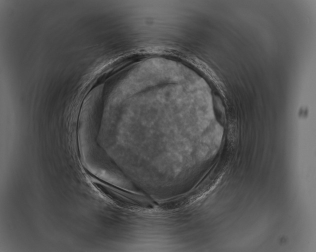 X0000098070577200804251440