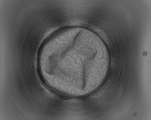 X0000098070578200804251440