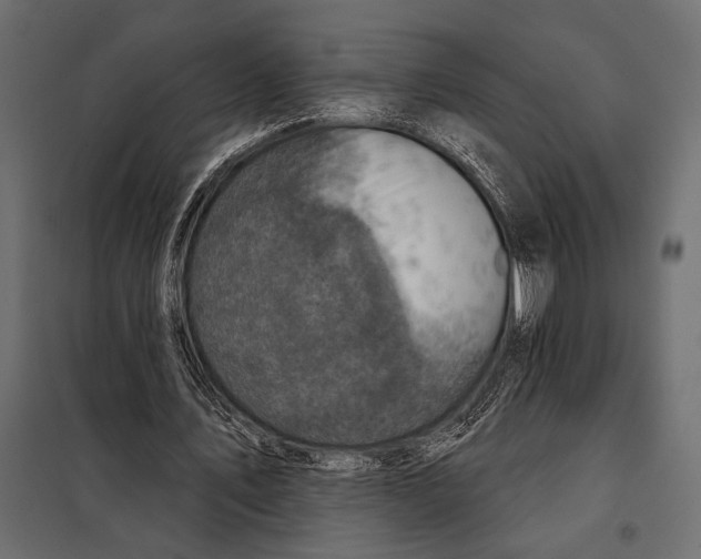 X0000098070579200804251440