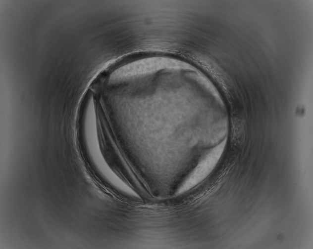 X0000098070580200804251440