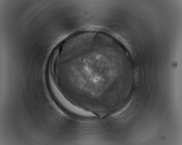 X0000098070581200804251440