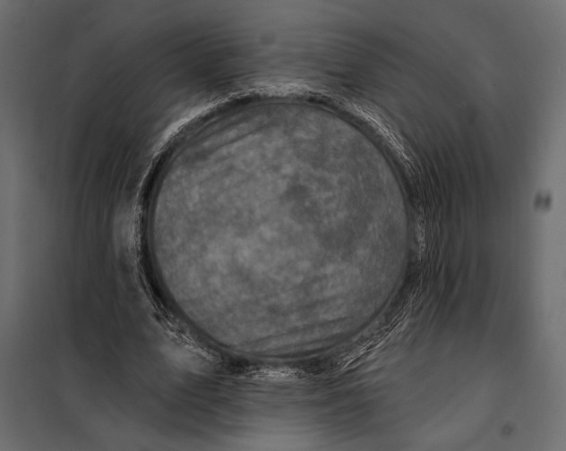 X0000098070583200804251440