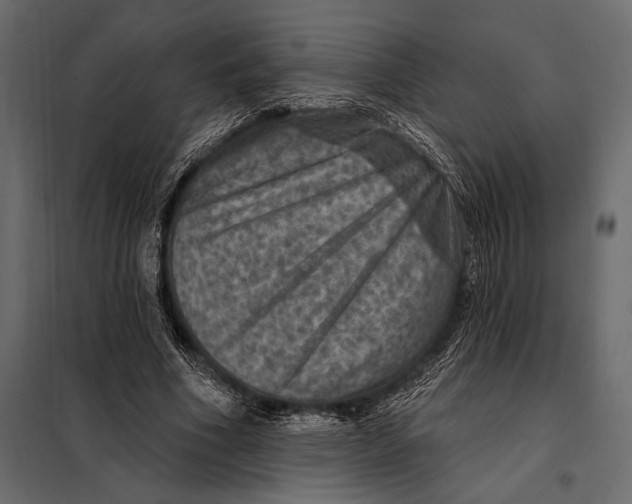 X0000098070586200804251440