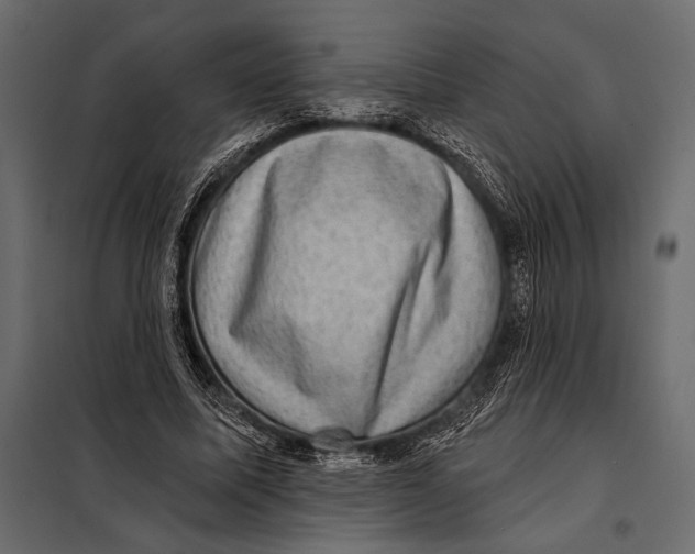 X0000098070587200804251440