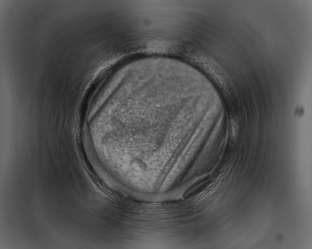 X0000098070588200804251440