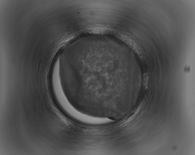 X0000098070589200804251440