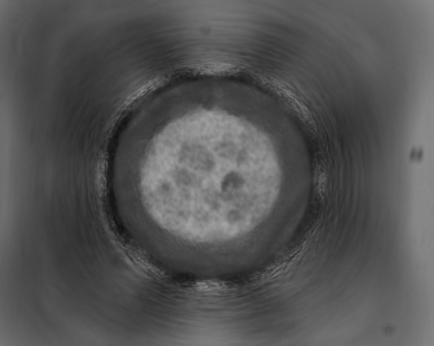 X0000098070591200804251440