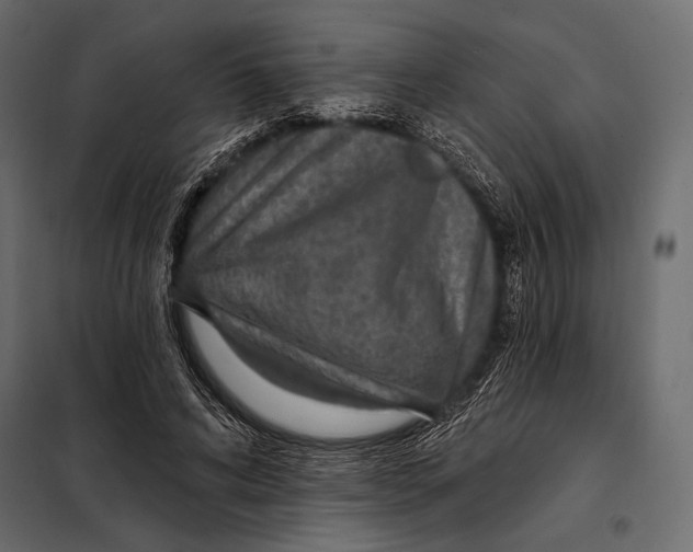 X0000098070592200804251440