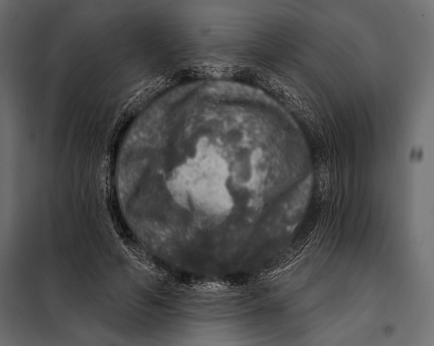 X0000098070594200804251440