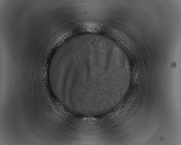 X0000098070595200804251440