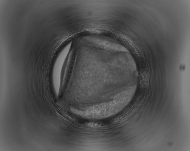 X0000098070596200804251440