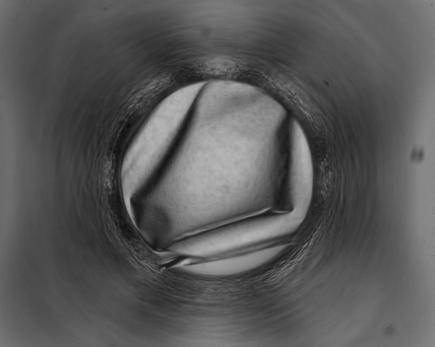 X0000098070597200804251440