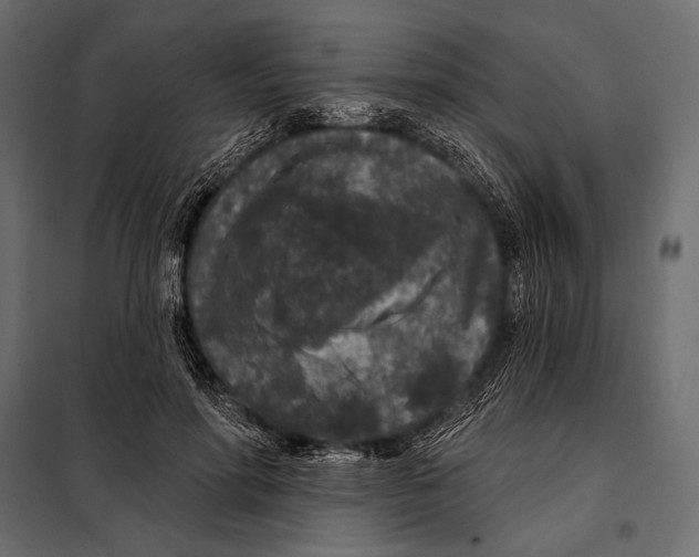 X0000098070598200804251440