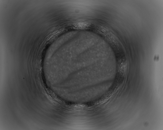 X0000098070599200804251440